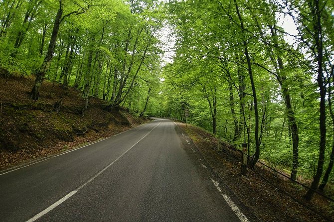 1 Day Kakheti Private Tour - What To Expect