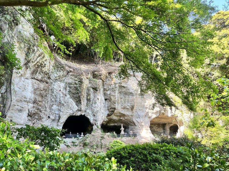 1-Day Kamakura and Enoshima Tour: Shrines, Seaside, Temples and Tea - The Great Buddha: a landmark you can enter