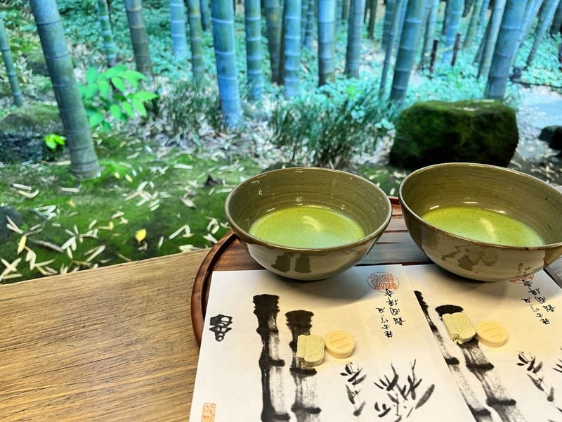 1-Day Kamakura and Enoshima Tour: Shrines, Seaside, Temples and Tea - Enoden and the walk to Enoshima