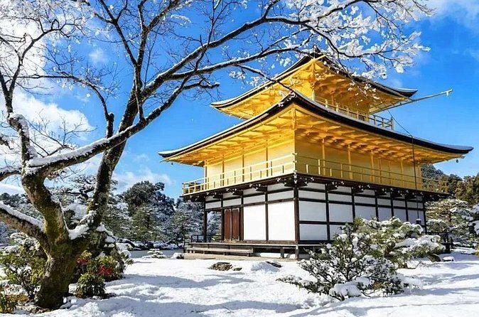 1 Day Kansai Tour from Osaka - Why Choose This Tour?