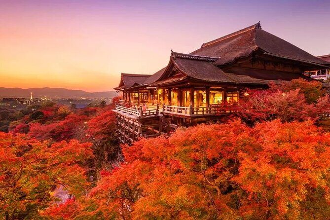 1 Day Kansai Tour from Osaka - Who Should Consider This Tour?