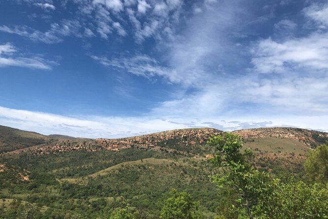 1 Day Kgaswane Mountain Reserve Birding Shared Tour - Tour Details
