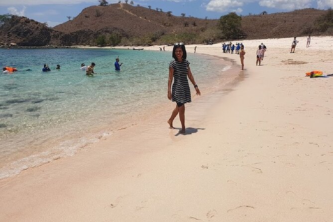 1- Day Komodo Island Hopping Tour by Speed Boat Departure From Labuan Bajo - Tour Highlights