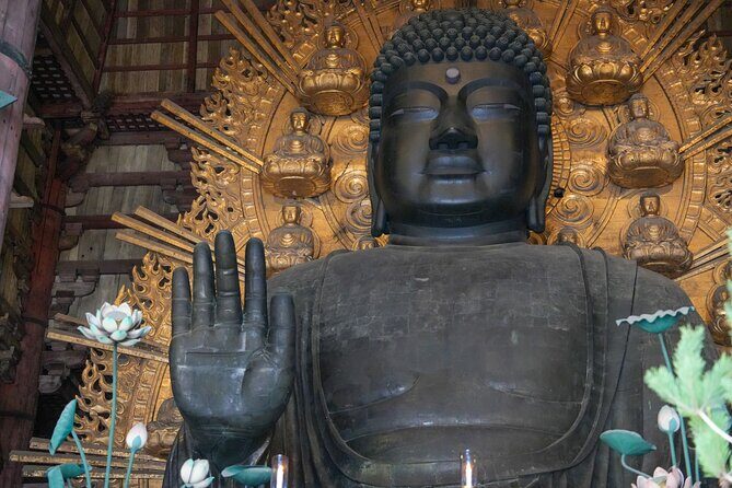 1-Day Kyoto and Nara Highlights Day Trip with a Private Car - The Sum Up