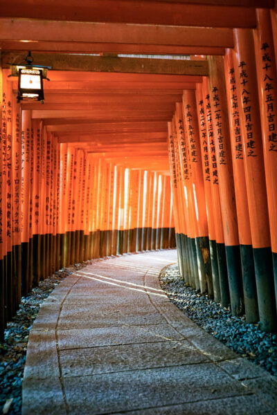 1 Day Kyoto to Nara: Penetrate Into Japanese Ancient Culture - Important Booking Information