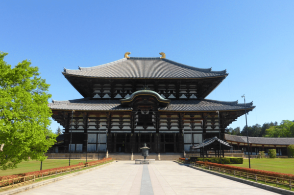 1 Day Kyoto to Nara: Penetrate Into Japanese Ancient Culture - Customer Feedback and Reviews