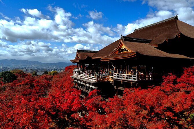 1 Day Kyoto UNESCO World Heritage Sites Bus Tour - Who Will Appreciate This Tour?