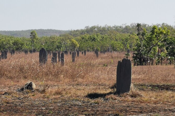 1 Day Litchfield National Park Tour & Berry Springs Max. 10 Guest - Tour Duration and Departure Details