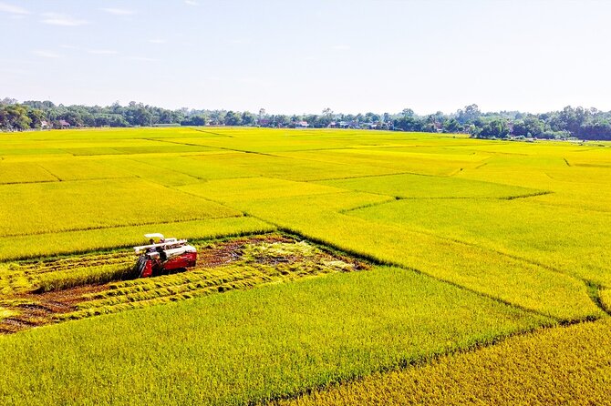 1 Day Luxury Tour of Mekong Delta and Cu Chi Tunnels by Mini Van - Mini Van Transportation