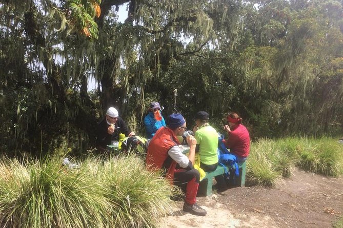 1 Day Marangu Route - Good To Know
