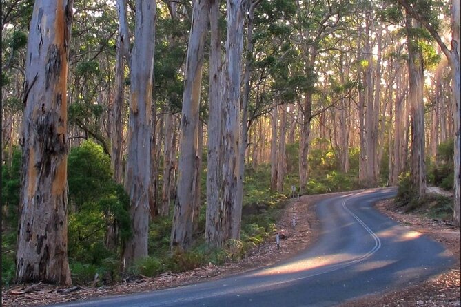 1 Day Margaret River Sightseeing Tour From Perth - Booking Convenience