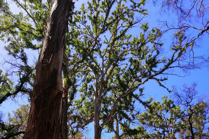 1 Day Margaret River Sightseeing Tour From Perth - Tour End