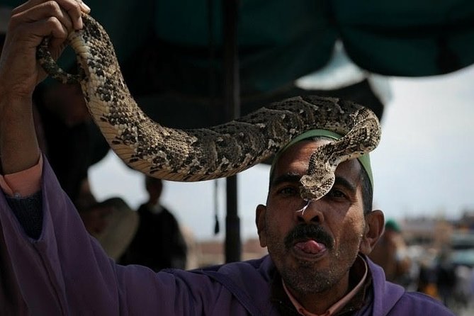 1 Day Marrakech Excursion Leaving From Agadir - Departure and Pick-up Time