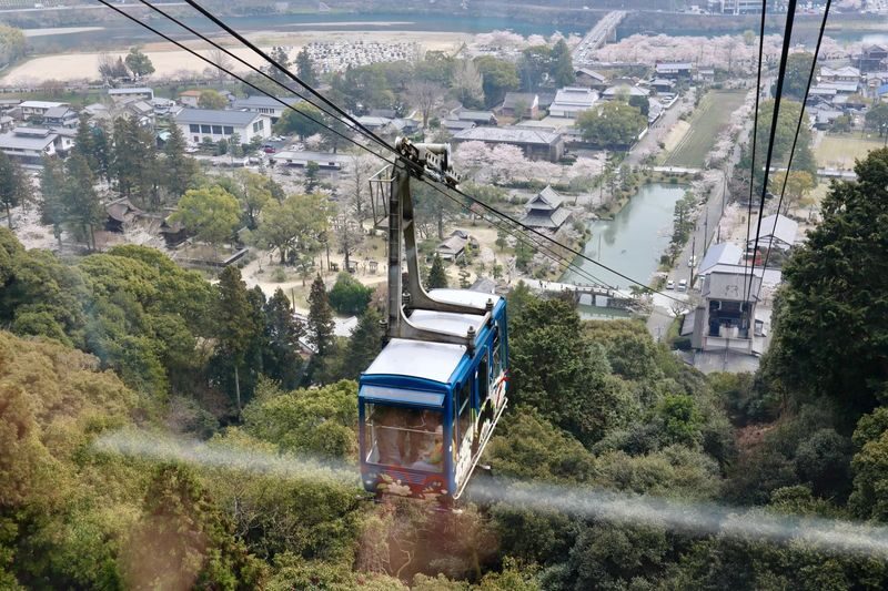 1-Day Miyajima & Iwakuni Tour: Exploring Iconic Japanese Landscapes - What the price includes, and what it does not