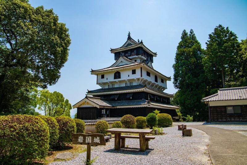 1-Day Miyajima & Iwakuni Tour: Exploring Iconic Japanese Landscapes - Who should book this tour?