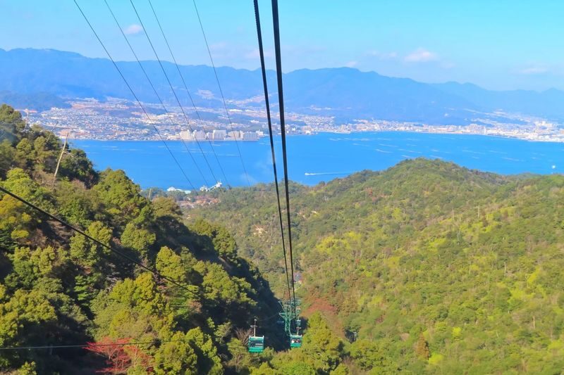 1-Day Miyajima Tour: One of Japans Most Scenic Spots - Free time for lunch and Miyajima snacks