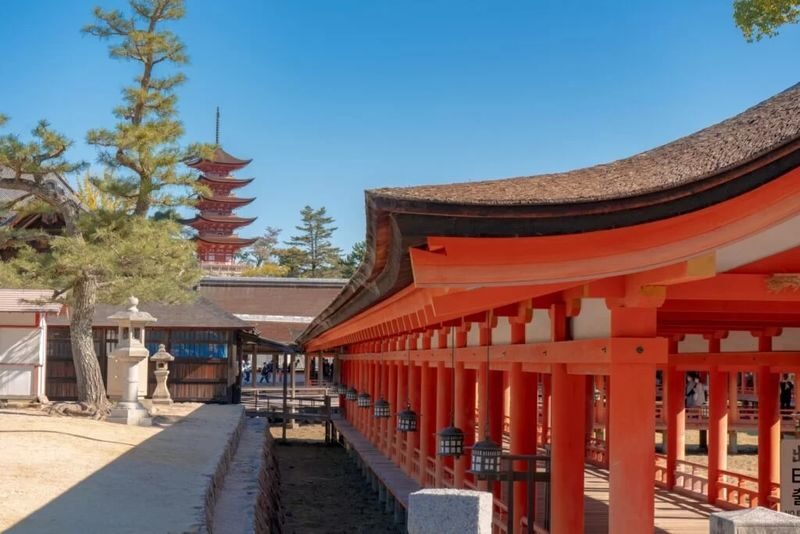 1-Day Miyajima Tour: One of Japans Most Scenic Spots - Miyajima Ropeway and the uphill walk to Mt. Misen