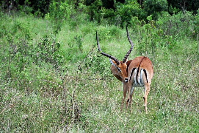 1 Day Mount Longonot Trek - Good To Know