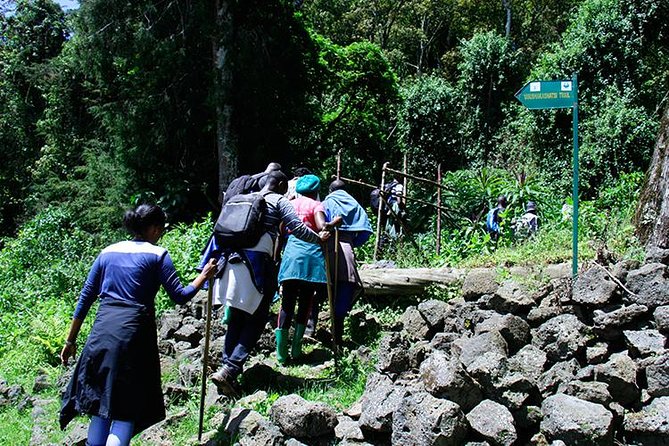 1 Day Mt Bisoke Hike Adventure in Volcanoes Park - Price and Inclusions