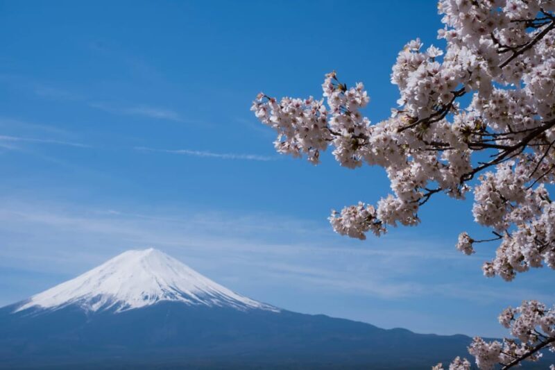 1-Day Mt Fuji and Hakone Sightseeing trip from Tokyo - Introduction: Setting the Scene