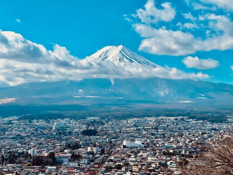1-Day Mt Fuji and Hakone Sightseeing trip from Tokyo - Pricing and Value
