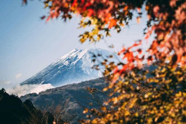 1-Day Mt Fuji Sightseeing Trip From Tokyo - Booking Information