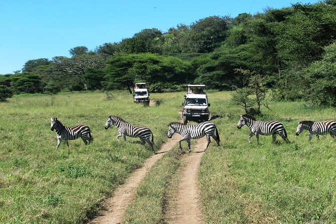 1-Day Ngorongoro Crater Group Safari - What To Expect