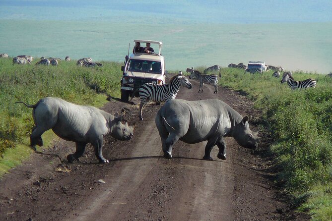 1 Day Ngorongoro Crater Safari - Inclusions