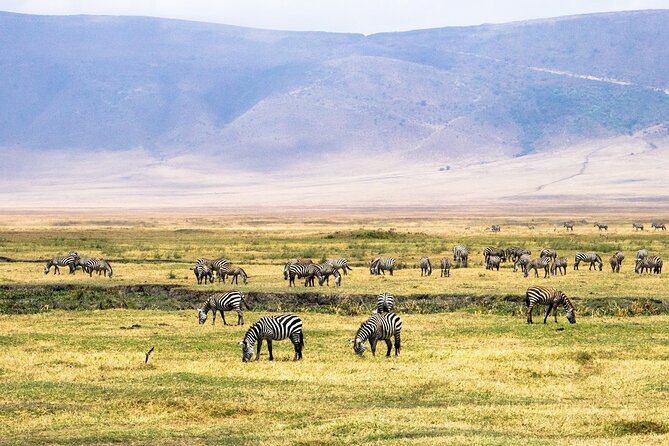1 Day Ngorongoro Crater Safari - Important Information