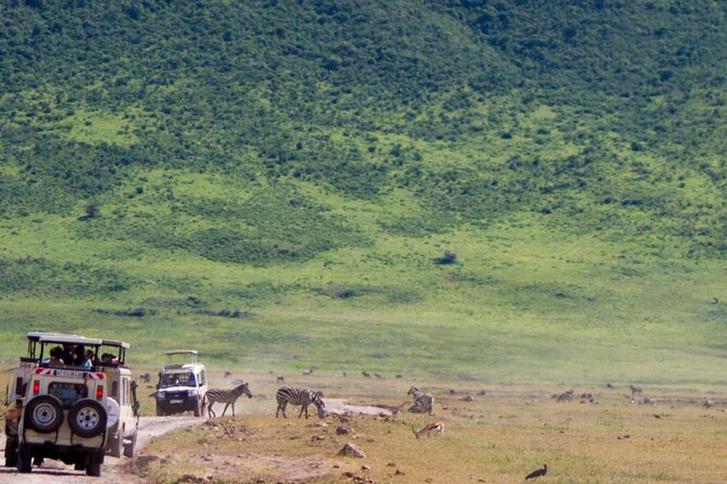 1 Day Ngorongoro Crater Safari - Reviews