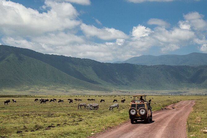 1 Day Ngorongoro Crater Safari - Frequently Asked Questions