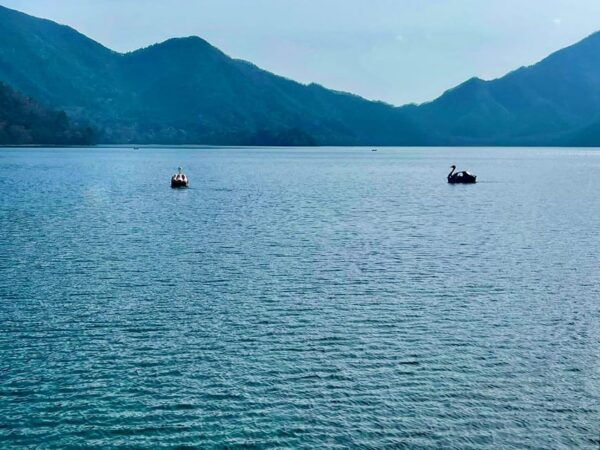 1 Day Nikko Wonders Tour From Tokyo - Customer Feedback and Reviews