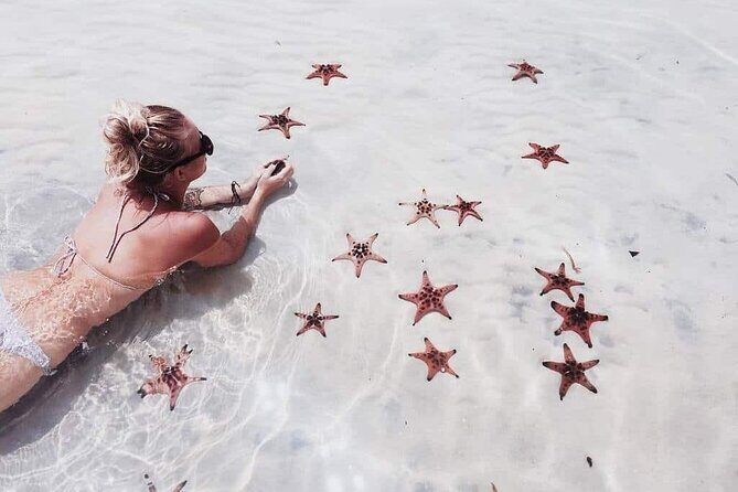 1-Day Northern Islands & Kayak Experience Tour - Good To Know