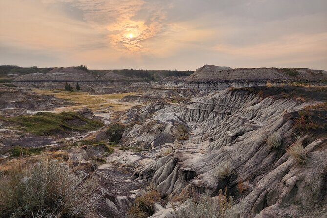 1 Day of Drumheller Dinosaurs and Badlands Guided Group Tour - An In-Depth Look at the Drumheller Dinosaur and Badlands Tour