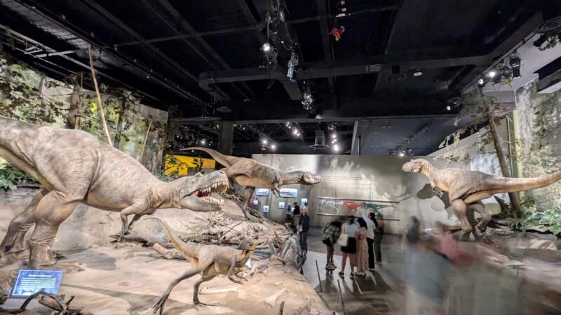 1 Day of Drumheller Dinosaurs and Badlands Guided Tour - Why This Tour Stands Out