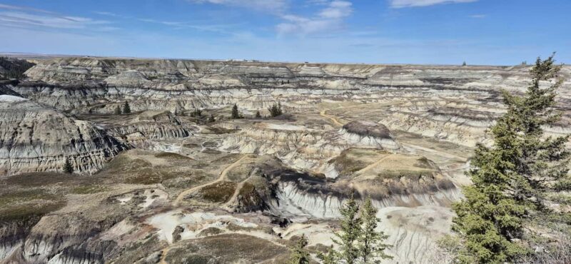 1 Day of Drumheller Dinosaurs and Badlands Guided Tour - What Makes This Tour Valuable