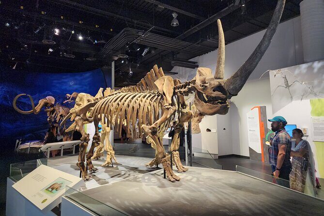 1 Day of Drumheller Dinosaurs and Badlands in Private Custom Tour - Good To Know