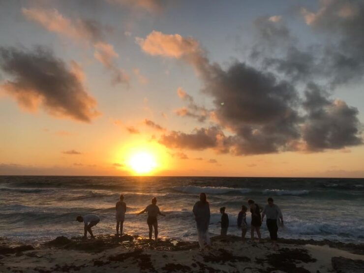 1 Day of Yoga With Bike Tour to the Cozumel Cenote - Good To Know