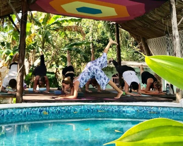 1 Day of Yoga With Bike Tour to the Cozumel Cenote - Farewell Circle