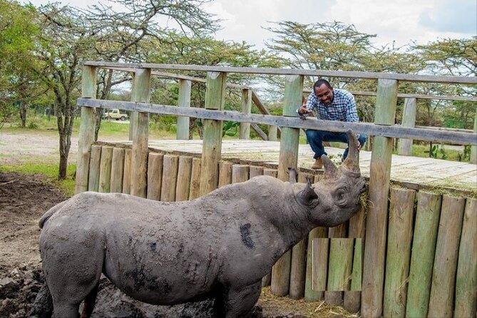 1-Day Ol Pejeta Conservancy Safari - Additional Information