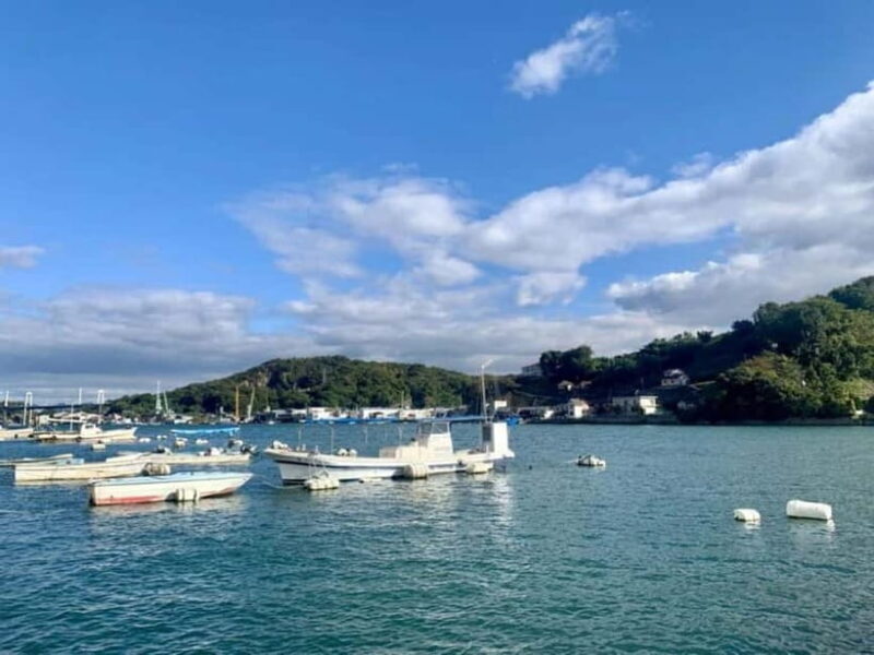 1-Day Onomichi & Ikuchijima Island: Temples, Ropeway & Ferry - A Scenic Ferry to Ikuchijima Island