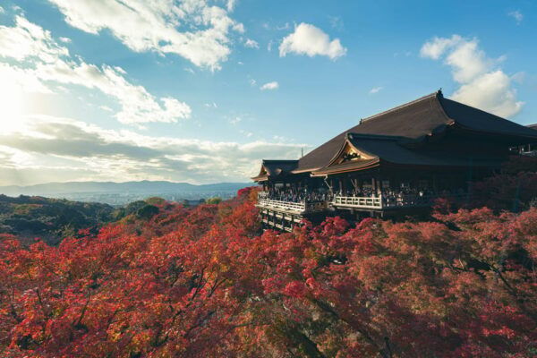 1 Day Osaka-Kyoto-Nara: Explore Resplendent Japanese Culture - Cultural Experiences Await