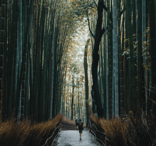 1 Day Osaka-Kyoto-Nara: Explore Resplendent Japanese Culture - Frequently Asked Questions