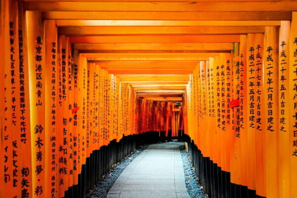 1-Day Osaka to Kyoto: Temples, Castles & Culture Tour - Best Time to Visit