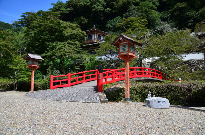 1-Day Osaka Tour: Discover Daruma Magic and the Beautiful Minoh Fall - Walking to Minoh Falls
