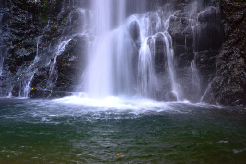 1-Day Osaka Tour: Discover Daruma Magic and the Beautiful Minoh Fall - Who will enjoy this day most