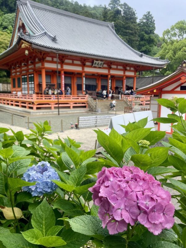 1-Day Osaka Tour: Discover Daruma Magic and the Beautiful Minoh Fall - Booking and day-of tips