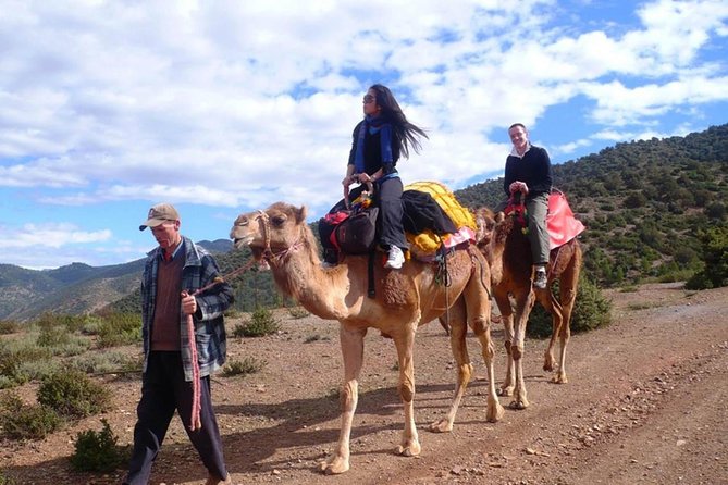 1-Day Ourika Valley Private Excursion: Lunch, Guide & Camel Ride - Inclusions