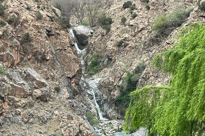 1 Day Ourika Valley Tour - Tour Overview