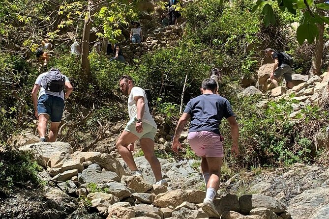 1 Day Ourika Valley Tour - Meeting and Pickup Details